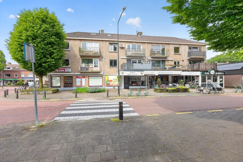 Annchen De Zorzi - Hofveld260518_004.jpg